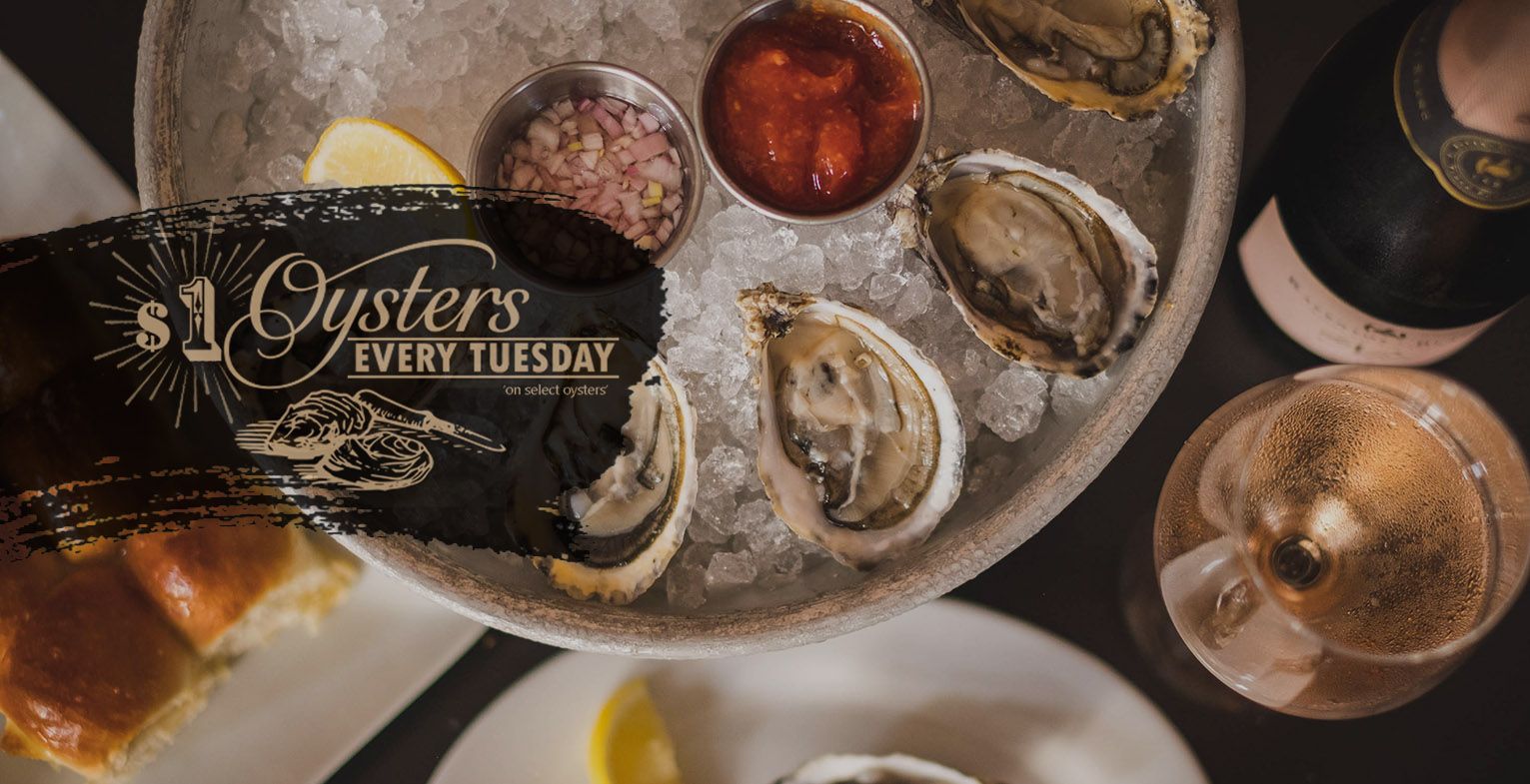 Oysters at happy hour